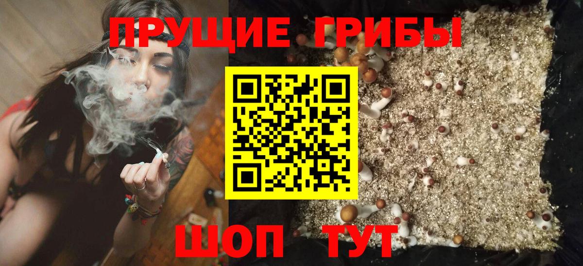 Псилоцибиновые грибы Magic Shrooms  Вход с VPN  Тамбов 