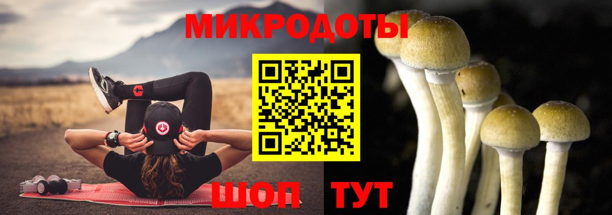 Псилоцибиновые грибы Cubensis Тамбов